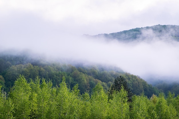 Thick fog covers the tops of the mountains clouds over the mountain valley Sew to cover with wood Travel through the spring highlands on foot