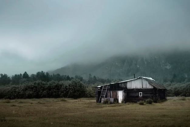 Thick green fog over the forest house and countryside on the edge of the forest copy space