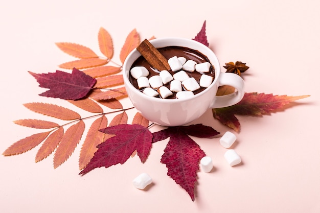 Thick hot chocolate cup with marshmallow on autumn leaves.