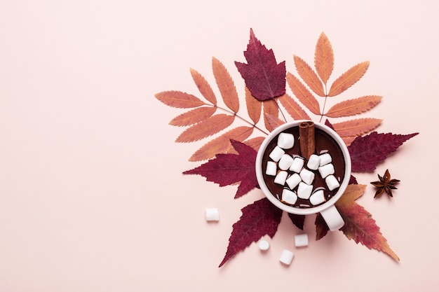 Thick hot chocolate cup with marshmallow on autumn leaves.