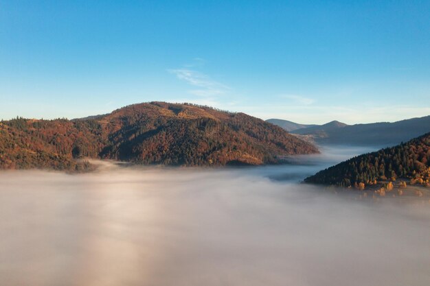 Thick layer of fog covering rainbow mountains with colorful trees