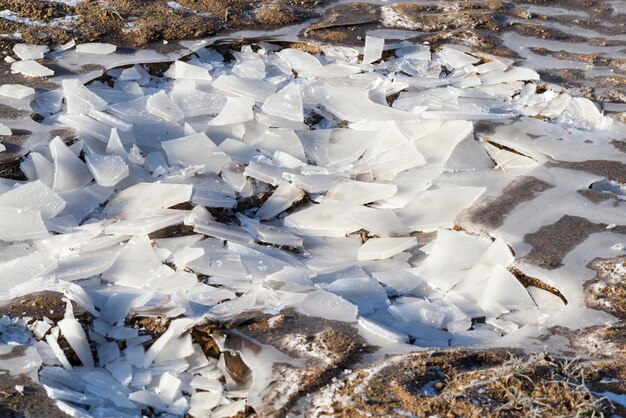 A thick layer of ice formed on the territory of the field