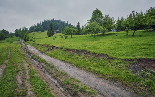 Thick morning fog in the summer forest thick morning fog in the\
forest at pond morning landscape in summer thick fog dense fog in\
the morning early morning forest hiding in the fog