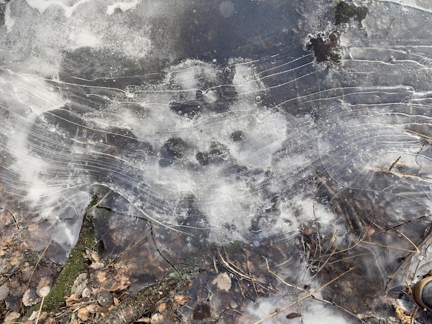 Thin transparent ice on a puddle in the park on a spring day foliage through the ice dry grass