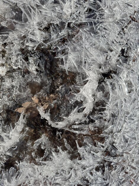 Foto il ghiaccio sottile e trasparente su una pozzanghera nel parco in un giorno di primavera fogliame attraverso l'erba secca di ghiaccio