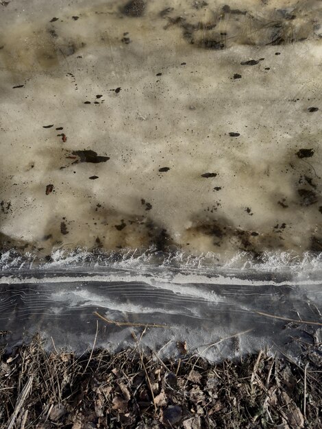 Foto il ghiaccio sottile e trasparente su una pozzanghera nel parco in un giorno di primavera fogliame attraverso l'erba secca di ghiaccio