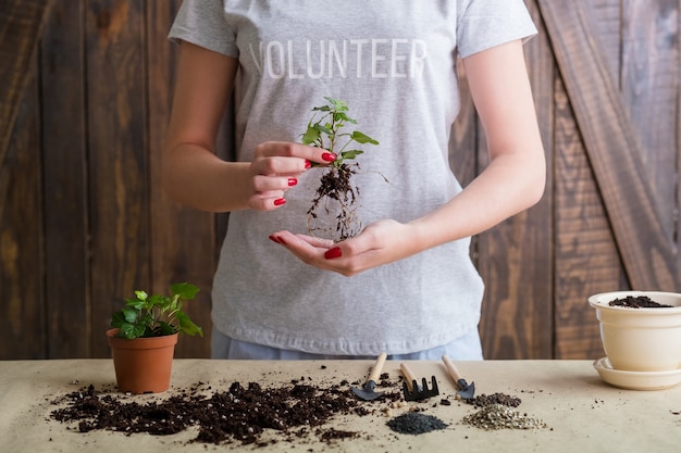 Think green motto. Nature care and protection concept. Volunteer engaged in plant repotting.