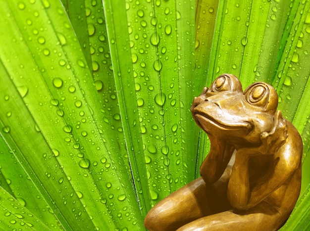 Photo thinker frog brass statue worry about rainy season with drop of rain on tropical leaf background