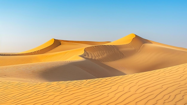 This image shows a vast expanse of sand dunes in the desert The dunes are a light golden color and are rippled with footprints