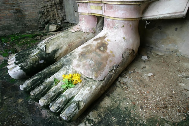 This is the Buddha's feet.