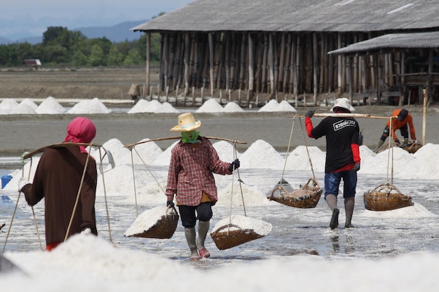 This is working in the salt fields.