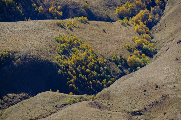 This photo was taken in the north caucasus Russia