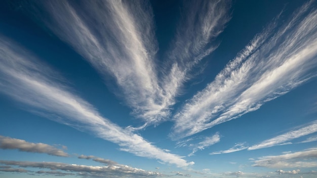 この静かな景色で 薄い雲が 広大な青い空を横断しています