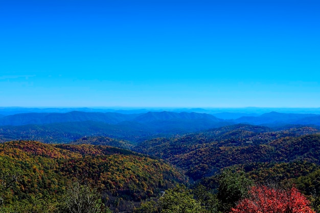 이것은 Blue Ridge Mountains를 세계적으로 유명하게 만드는 단풍과 먼 수평선을 보여줍니다.