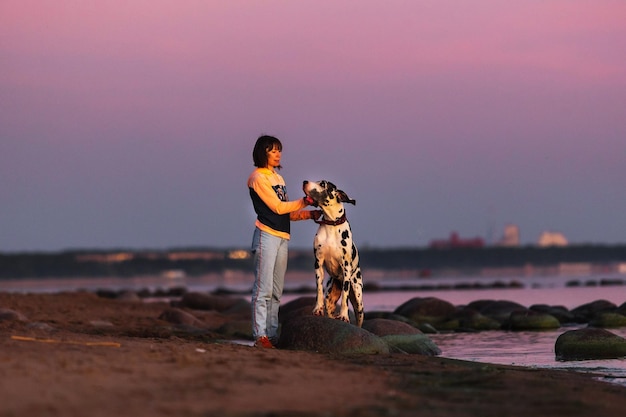 海岸線で犬と思いやりのある女性の所有者