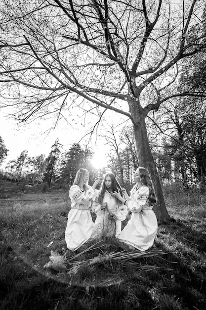 Three beautiful girlfriends braid each other's hair They are sitting on the grass outdoor Dressed