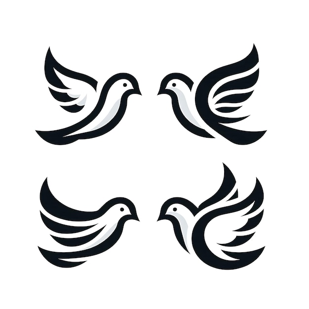 three birds with black and white wings with a black outline