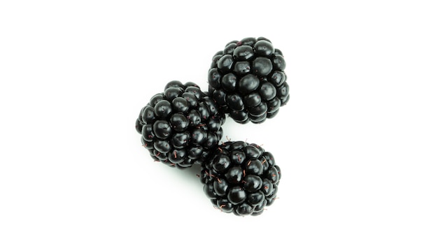 Three blackberries.