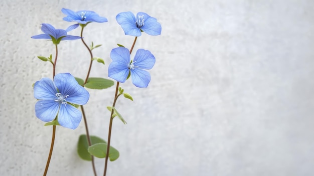 Three Blue Flowers With Green Leaves on a White Background