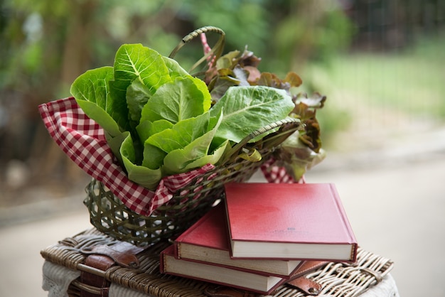 Three books and a basket of vegetable