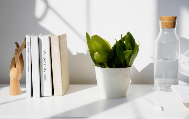 Photo three books on a shelf with a plant on the right side.