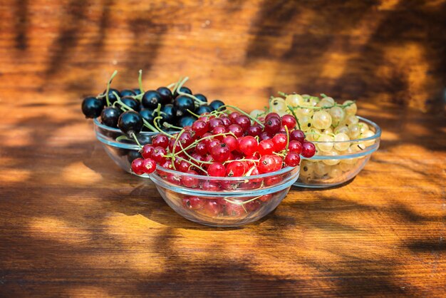 Three bowls of Fresh red black and white currant berries on a wooden table