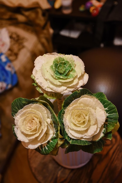 Three brassica flowers close up