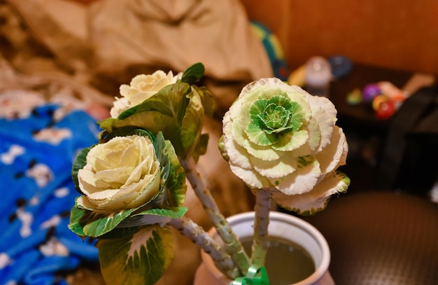 Three brassica flowers closeup