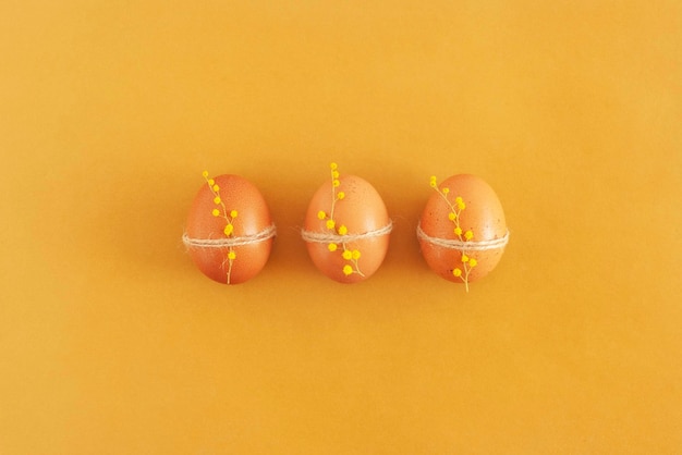 Three brown easter eggs decorated with mimosa flowers, yellow background, top view