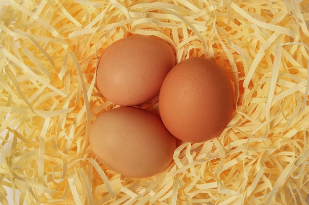 Three chicken eggs in the nest closeup