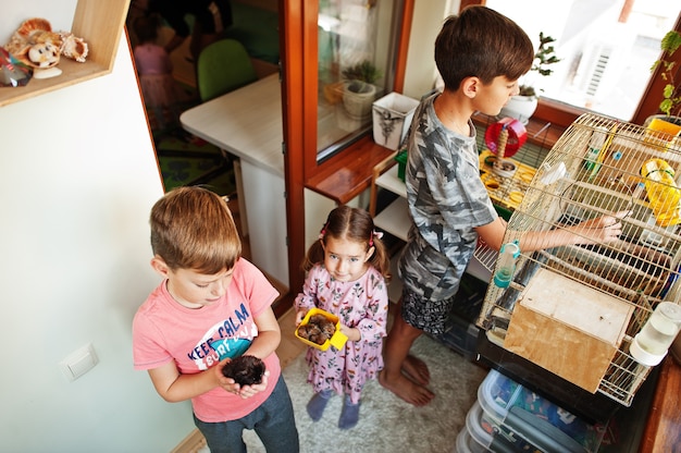 Three children holding their favorite pets on hands. Kids playing with hamster,turtle and parrots at home.