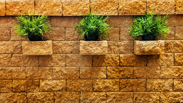 three clump of green grass on the brick wall