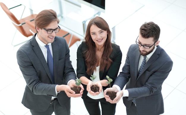 Three colleagues hold young shoots photo with copy space