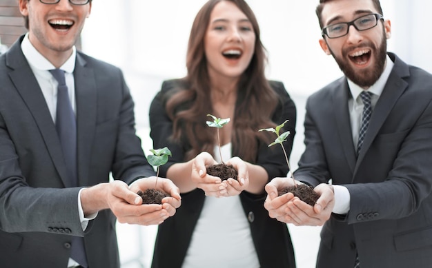 Three colleagues look at the young shoots