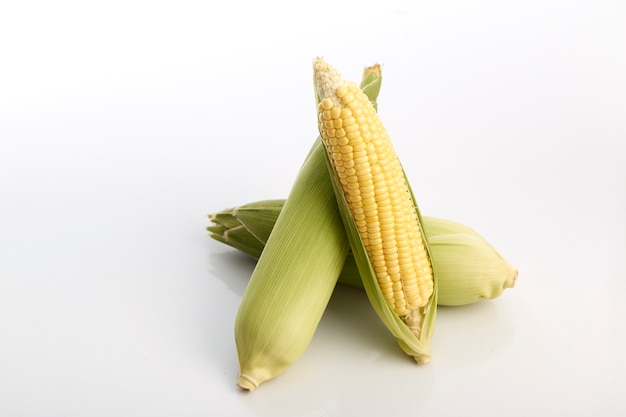 Three corn cobs with husks