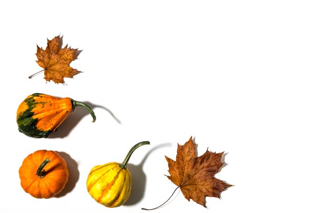 Photo three different pumpkins on a white background