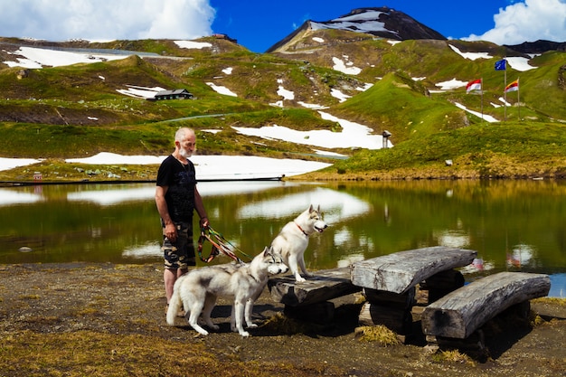 写真 3匹の犬が座っています。シベリアンハスキーの群れ。