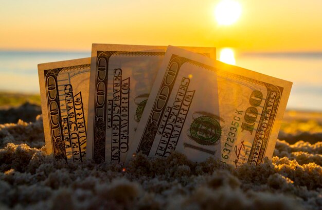 Three dollar bills are buried in sand on sandy beach near sea at sunset dawn