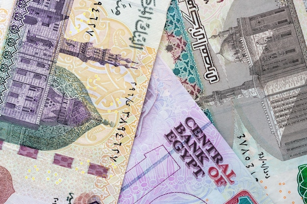 Three Egyptian pound banknotes closeup