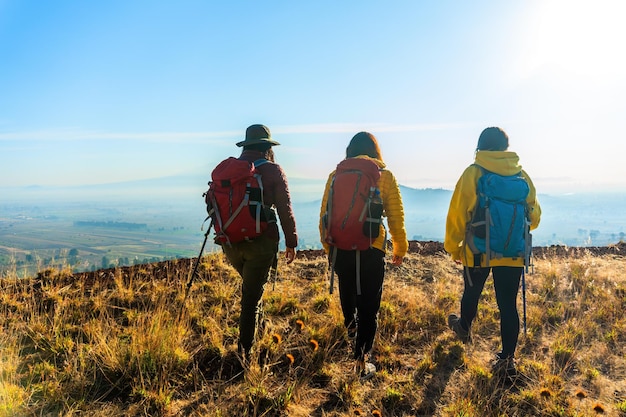 사진 산책 배 과 노란색 재 을 입은 세 명 의 여성 산책자 들 이 산 꼭대기 에 도달 한다