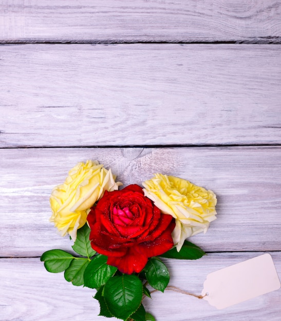 Three flowering roses and a white paper tag 