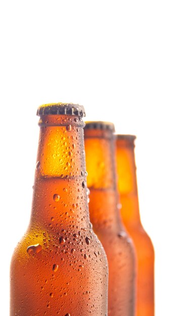 Three fresh beer bottle on white background and copy space