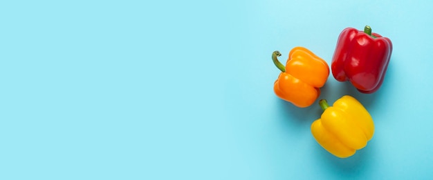 Three fresh bright sweet peppers on a blue background. Top view, flat lay. Banner