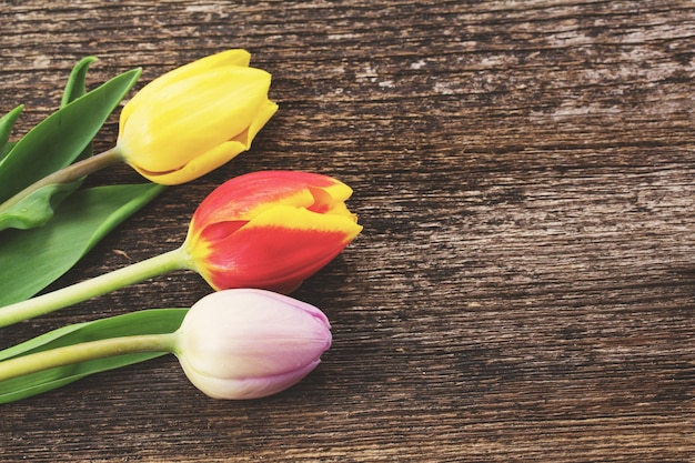 Photo three fresh muticolored tulips on wooden table retro instagram toned