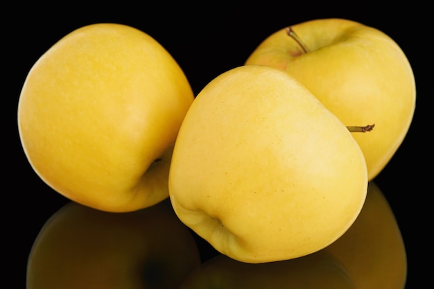 Three Fresh Ripe Yellow Apples on black background