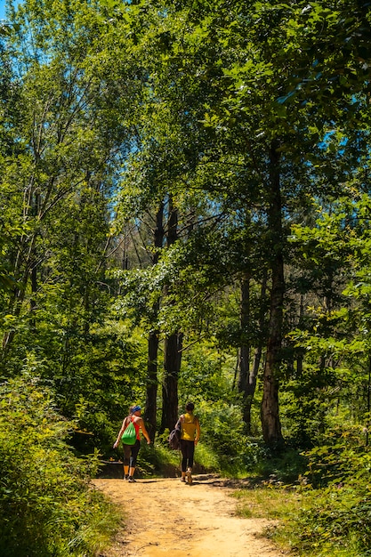 Three friends on the trail of Mount Igueldo, Guipuzcoa,