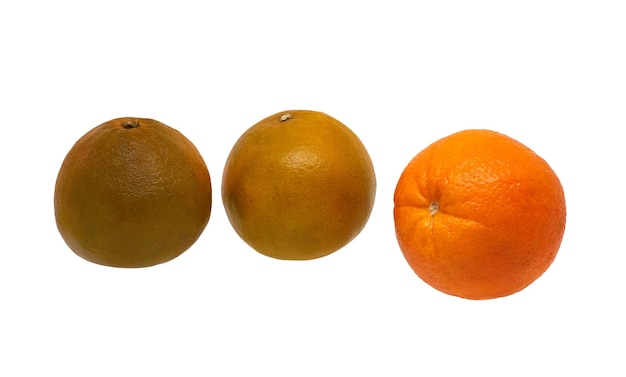 Три плода спелых апельсинов разных сортов на белом фоне