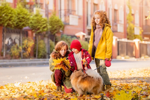 Three girls two older sisters and a baby are walking with a fluffy Pomeranian dog along the street and looking at the fallen leaves on a sunny autumn day