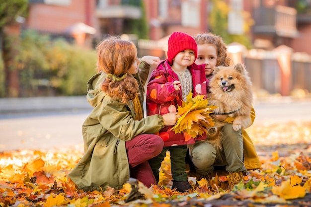 Three girls two older sisters and a baby are walking with a fluffy Pomeranian dog along the street and looking at the fallen leaves on a sunny autumn day