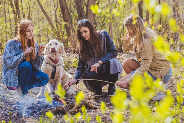 犬を連れた3人の女の子が森で休んでいます。